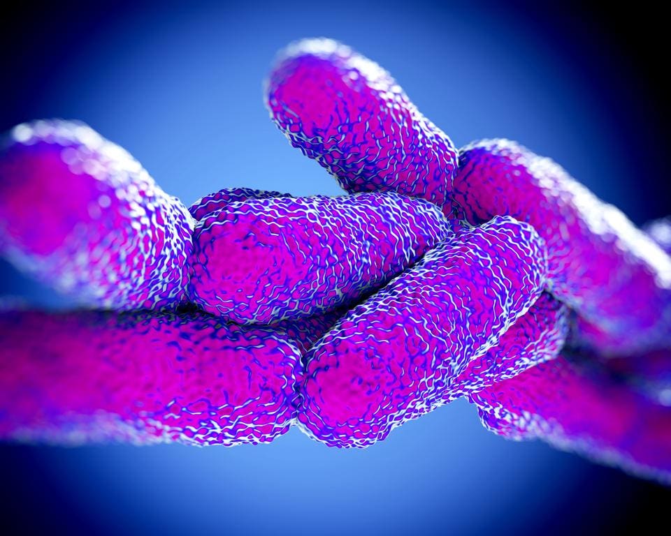 Legionella Management